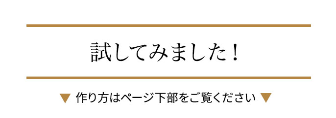試してみました